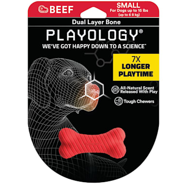 Playology Dual Layer Bone Dog Toy Beef Scent Small Petco