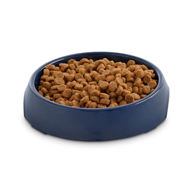 Harmony Black Single Cat Bowl Base 3 4 Cup Petco