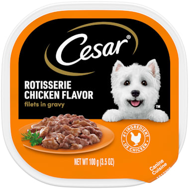 Cesar Filets In Gravy Rotisserie Chicken Flavor Wet Dog Food 3 5 Oz Case Of 24 Petco