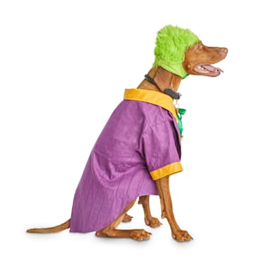 Bootique Dc Joker Dog Costume X Small Petco