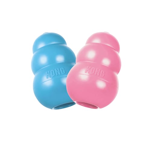 Petco kong bed online