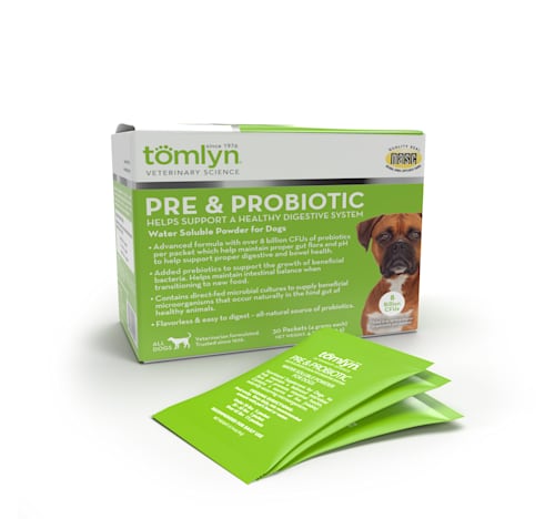 Probiotics for Dogs Improving Your Dog s Gut Health Petco
