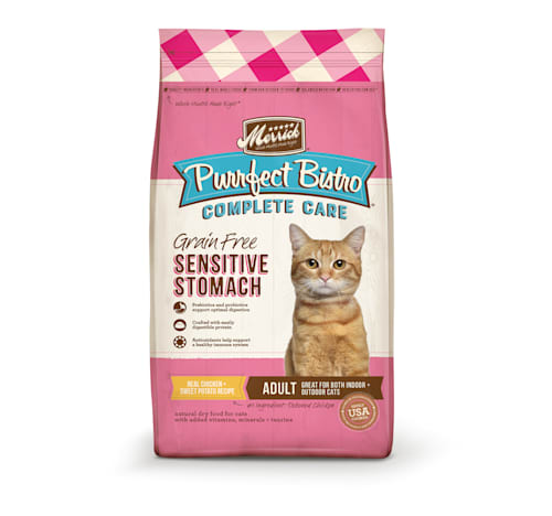 Cat food for intestinal problems shop
