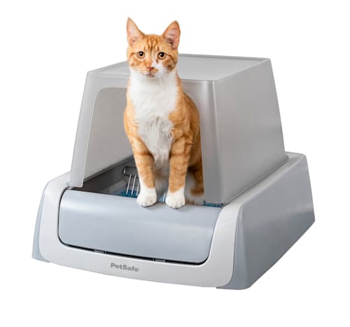 Whisker city self deals cleaning litter box