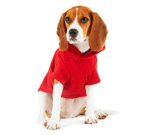petco.com | More and Merrier Naughty Hoodie for Dogs & Cats