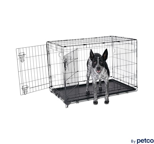 EveryYay Essentials 2-Door Folding Dog Crate