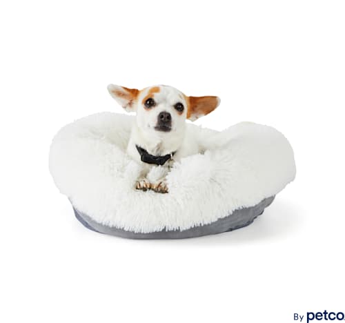 EveryYay Snooze Fest Cream Donut Bed for Dogs