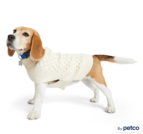petco.com | More and Merrier Ivory Cable Knit Dog Sweater