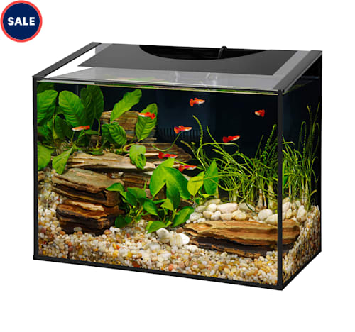 Aqueon Ascent Frameless LED Aquarium Kit, 10 Gallon