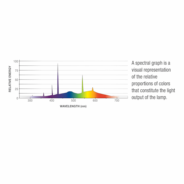 What Is the Spectrum of Fluorescent Light?