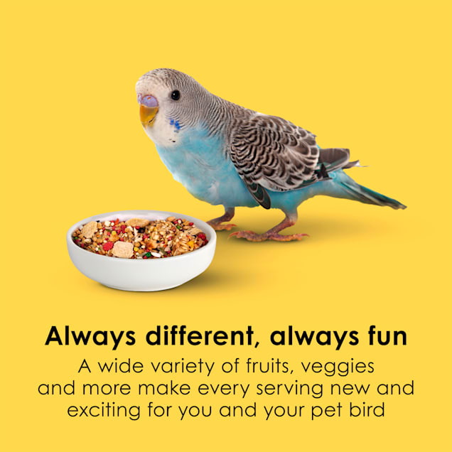 Kaytee Fiesta Bird Food for Parakeets Petco