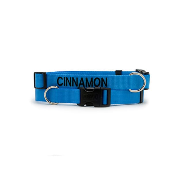 Coastal pet products personalized leather discount dog collar