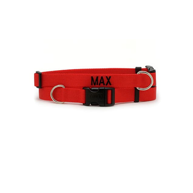 Plastic pet collar store