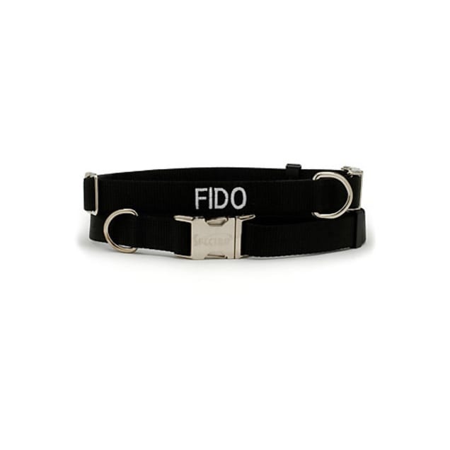 Coastal pet products personalized leather discount dog collar