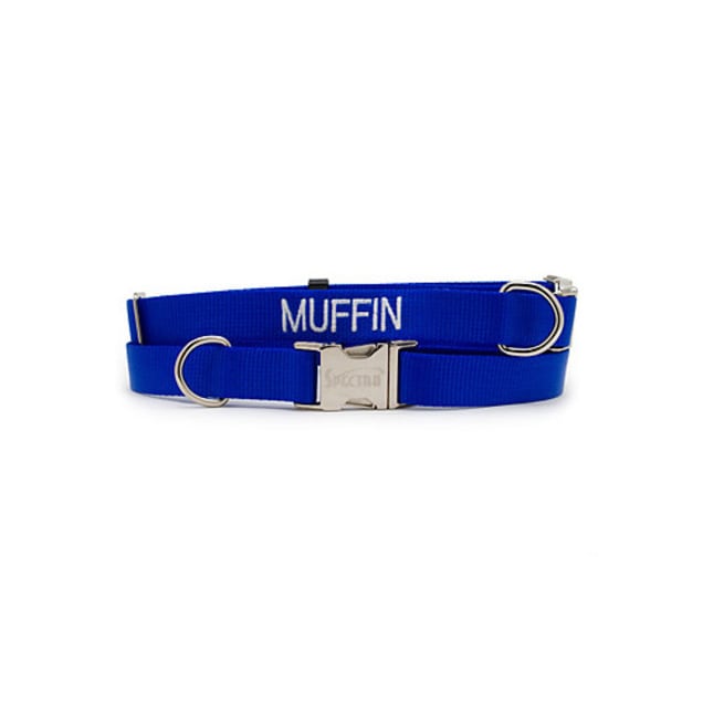 Coastal Pet Products Personalized Blue Adjustable Dog Collar with Metal Buckle, Medium - Carousel image #1