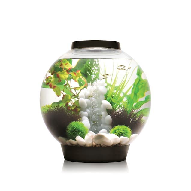 biOrb 8 Gallon Aquarium Kit with Light, Black Petco