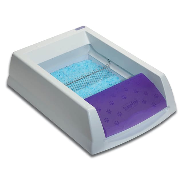 ScoopFree by PetSafe Self-Cleaning Litter Box - Carousel image #1