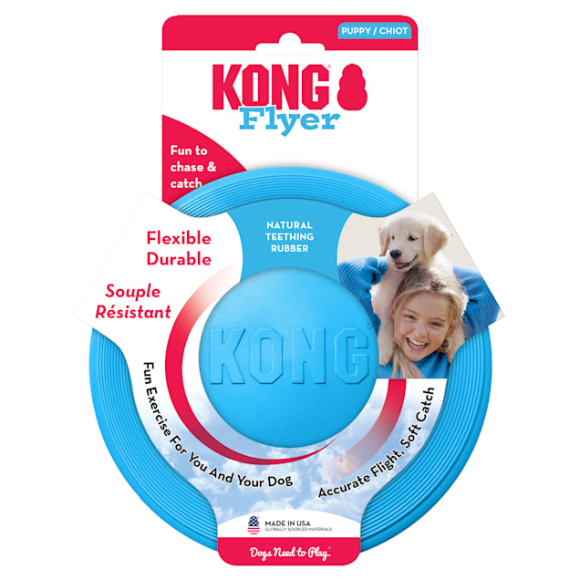 Kong frisbee petco online