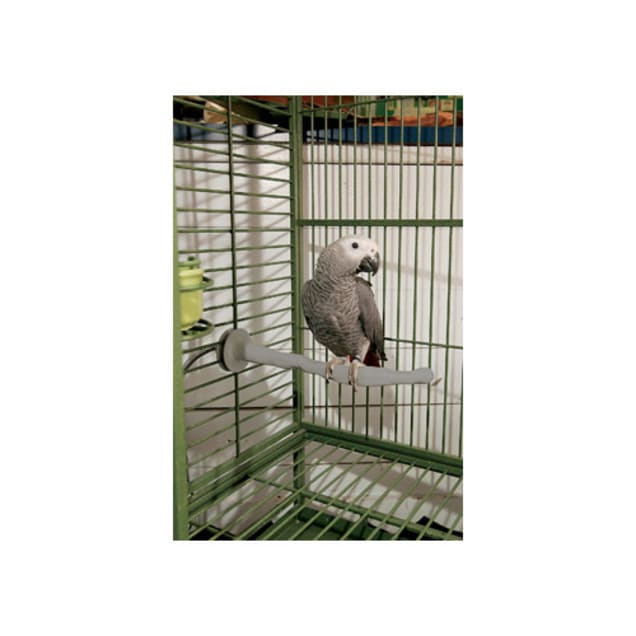 K&h bird heater sales