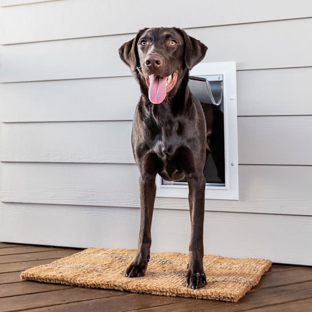 Insulated Pet Doors for Walls - Dog Doors for Walls - Freedom Pet Pass