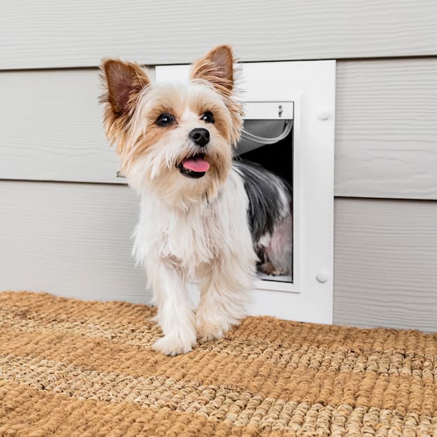 Petco doggie 2025 doors