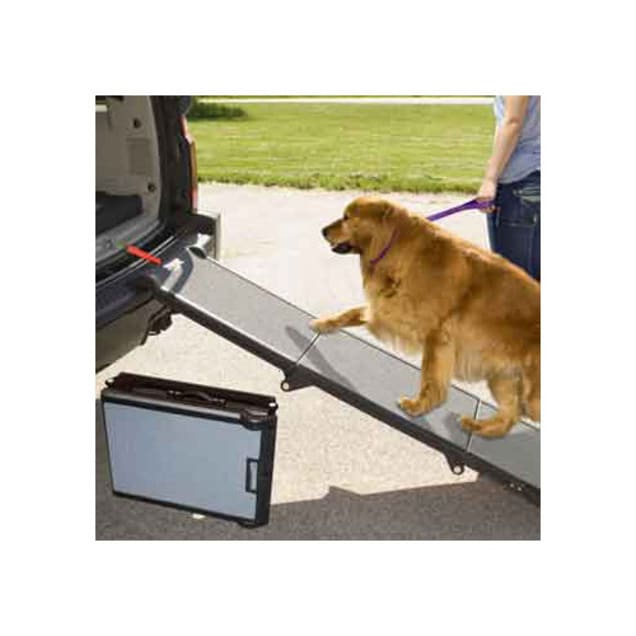 Petco folding discount dog ramp