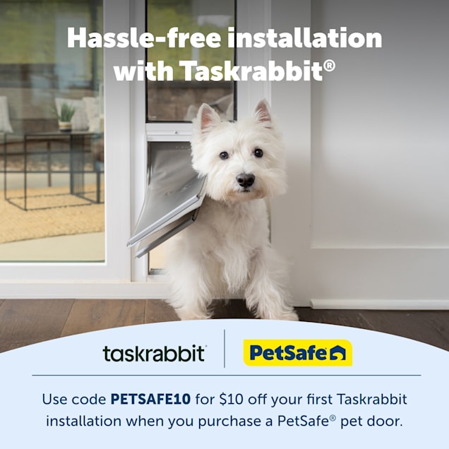 Dog Door Behavior Center And Outfitters: Transform Your Dog’s Habits Today