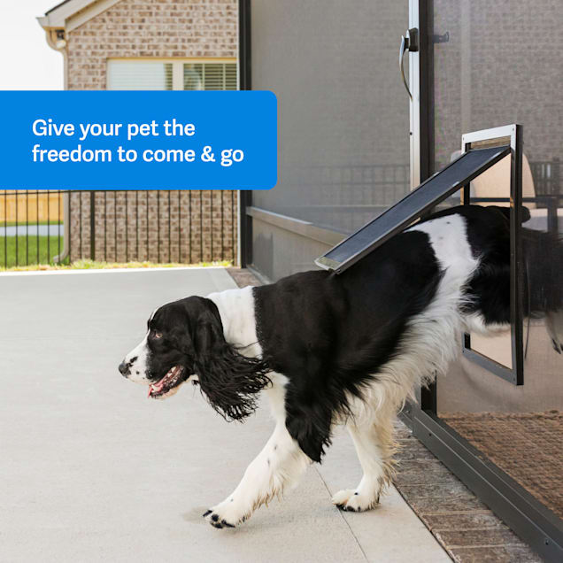 Screen gate for dogs on sale