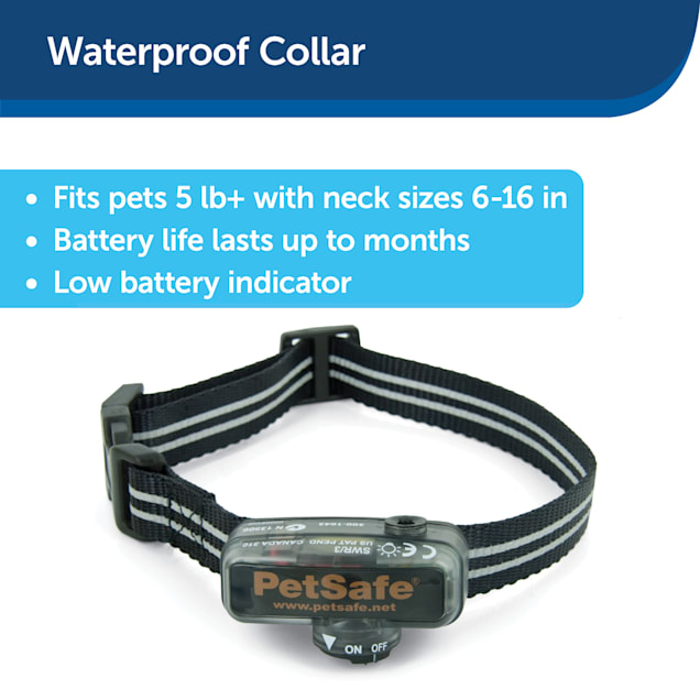 Petsafe elite little dog bark control collar sale