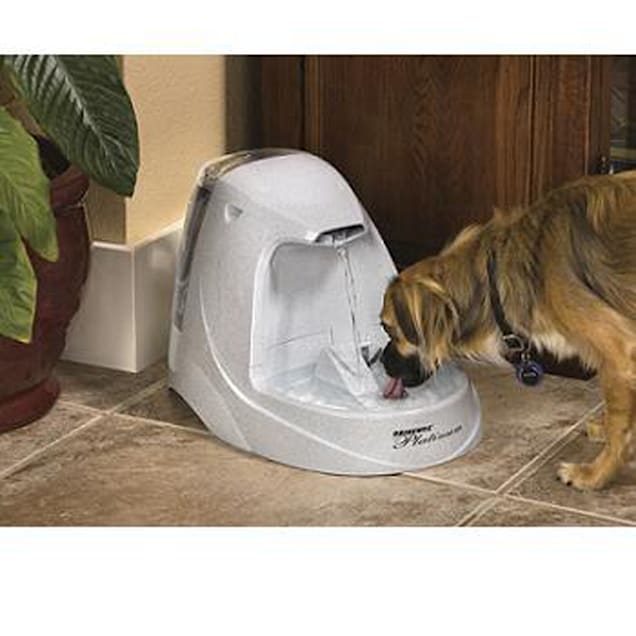 Petwell platinum drinking top fountain