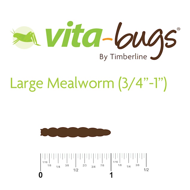Petco mealworms online