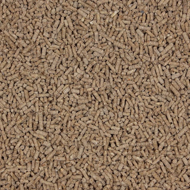 Hedgehog food sale petco