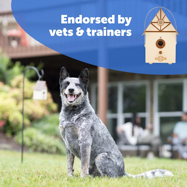 Petsafe ultrasonic outdoor bark control online