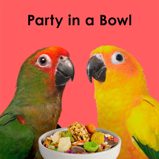Kaytee 2025 parrot food