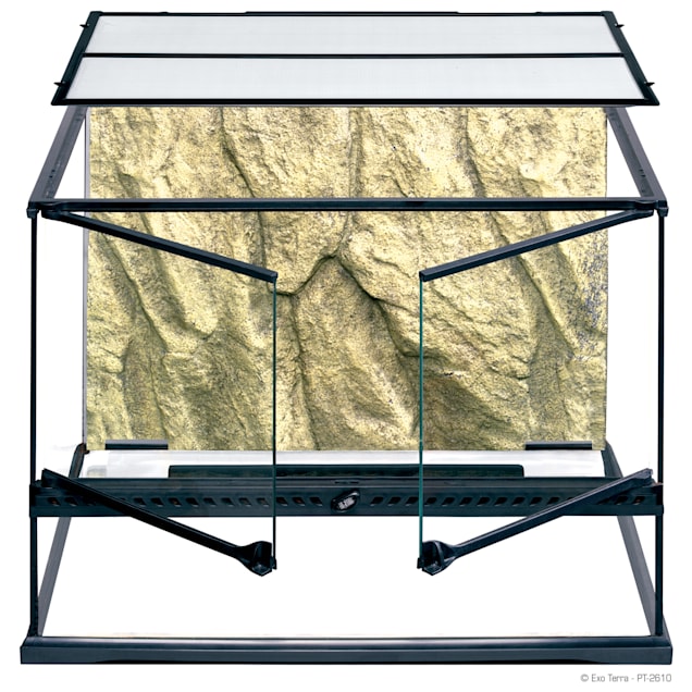 Exo Terra Glass Terrarium 24