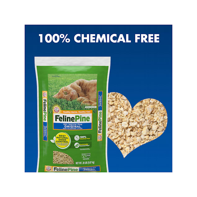 Can you flush pine cat litter 2025
