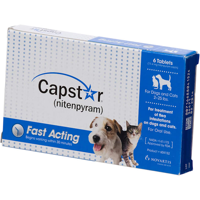 Capstar Flea Tablets For Dogs And Cats 2 25 Lbs Petco