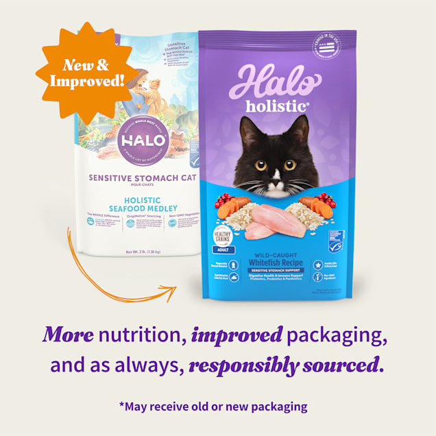 Halo Holistic Complete Digestive Health Sensitive Stomach Support Wild caught Whitefish Recipe Adult Dry Cat Food 6 lbs