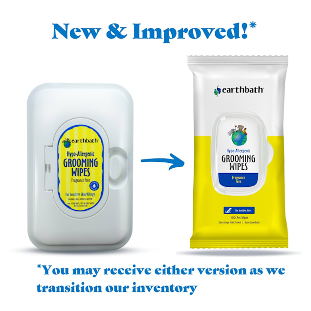 Earthbath Hypo Allergenic And Fragrance Free Grooming Wipes For Pets Count Of 100 Petco