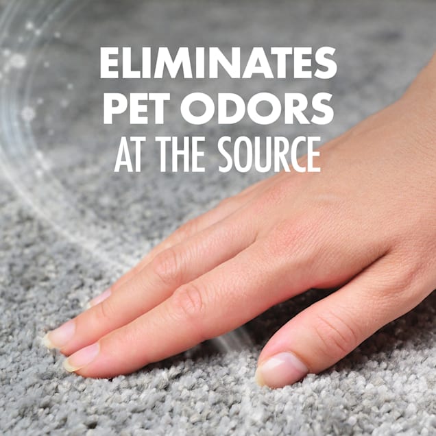 Arm Hammer Carpet Odor Eliminator Pet Fresh 30 oz