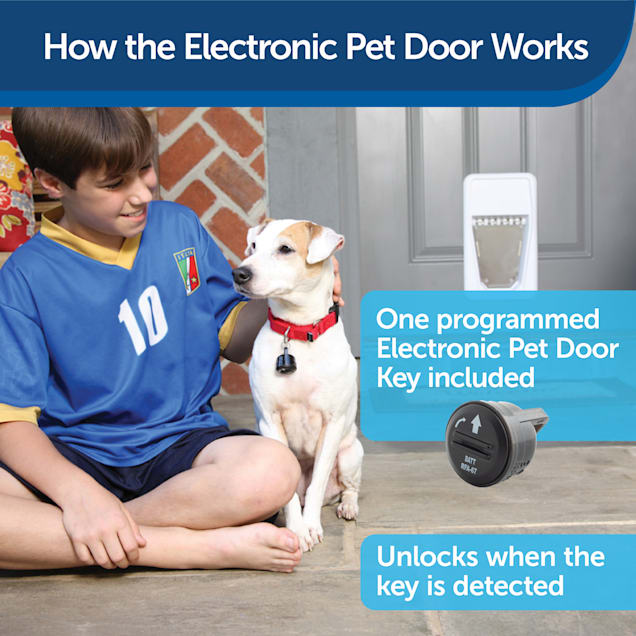 PetSafe Electronic SmartDoor Large Petco
