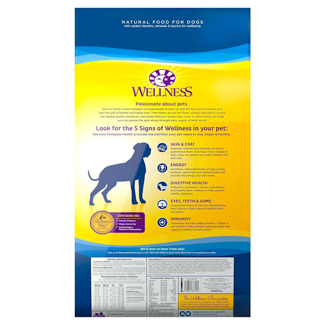 Large breed puppy nutrition outlet