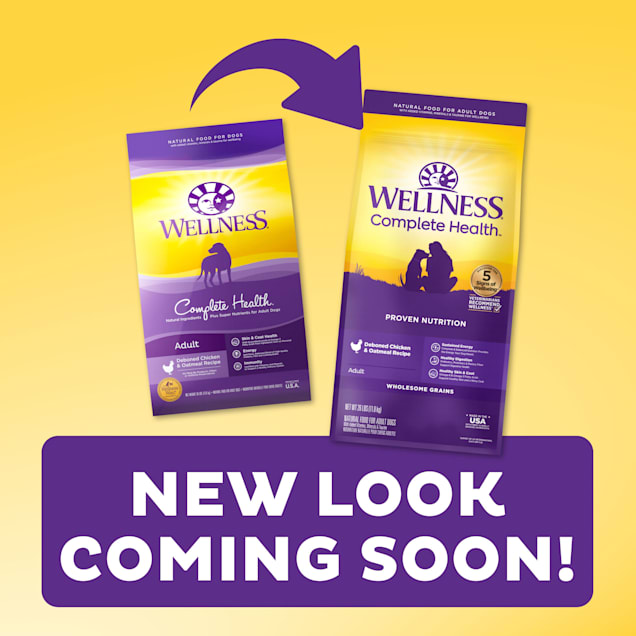 Wellness adult deals dog food