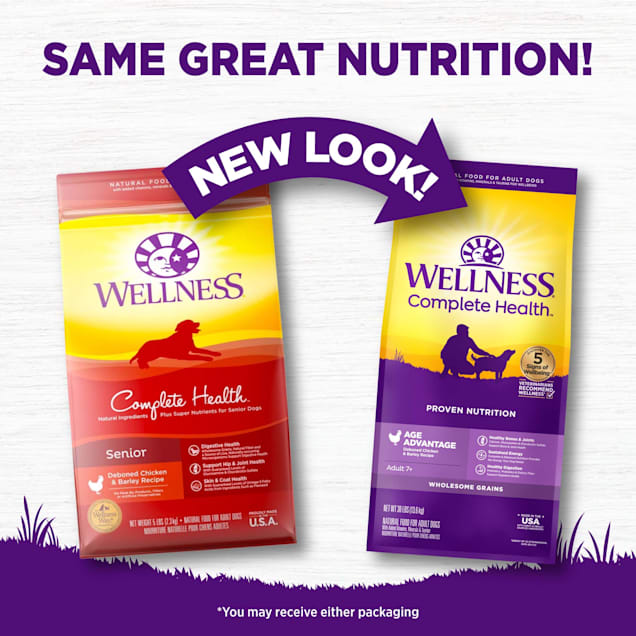 Wellness complete health adult lamb & barley recipe dry dog food online
