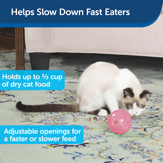 Petco cat food dispenser store