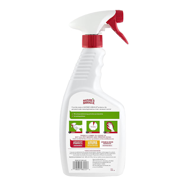 Stain odor remover nature's miracle best sale