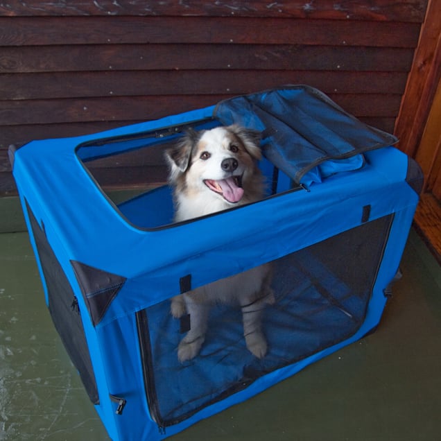Pet Gear Generation Ii Green Deluxe Portable Soft Dog Crate 41 L X 29 W X 28 H Petco