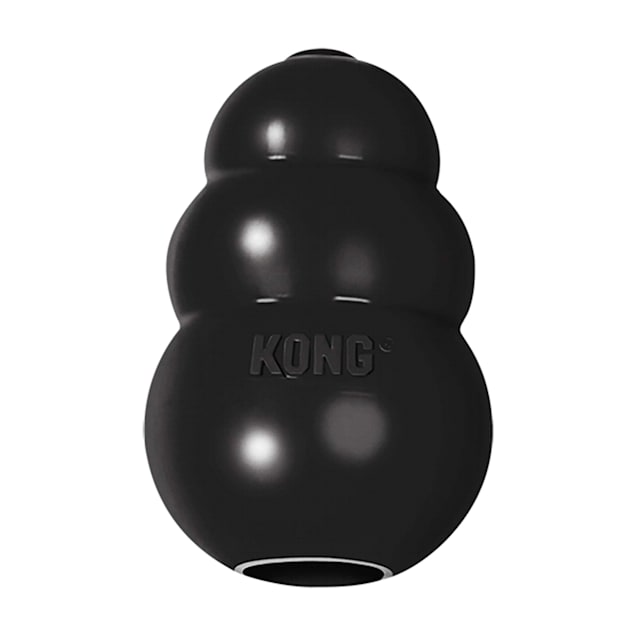 KONG Black Extreme Dog Toy, Small