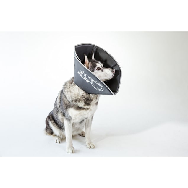 All Four Paws Comfy Cone Black Soft e-Collar with Removable Stays