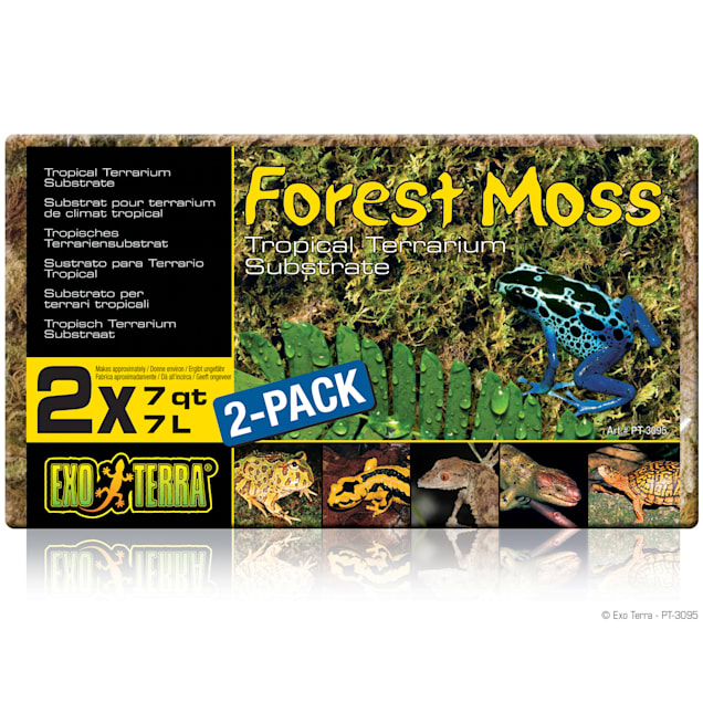 Exo-Terra Forest Moss Terrarium Substrate, 7 Quart, Pack of 2 - Carousel image #1
